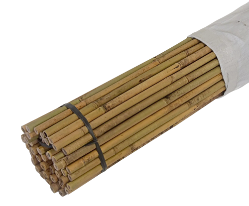8 ft Bamboo Poles (25 pcs/bundle) – Sukkah and Schach Center