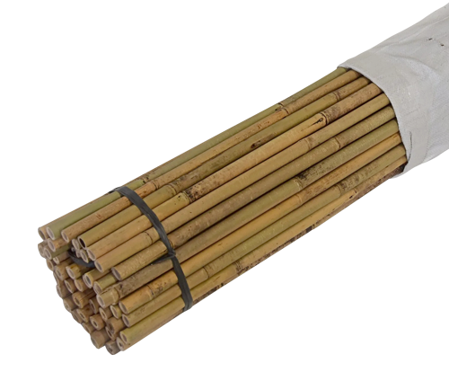 6 ft Bamboo Poles (25 pcs/bundle) – Sukkah and Schach Center