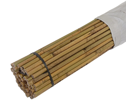 5 ft Bamboo Poles (25 pcs/bundle)